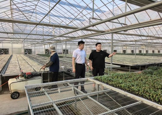 来自与“刘翠婷”会话的图片_16-43-36-0