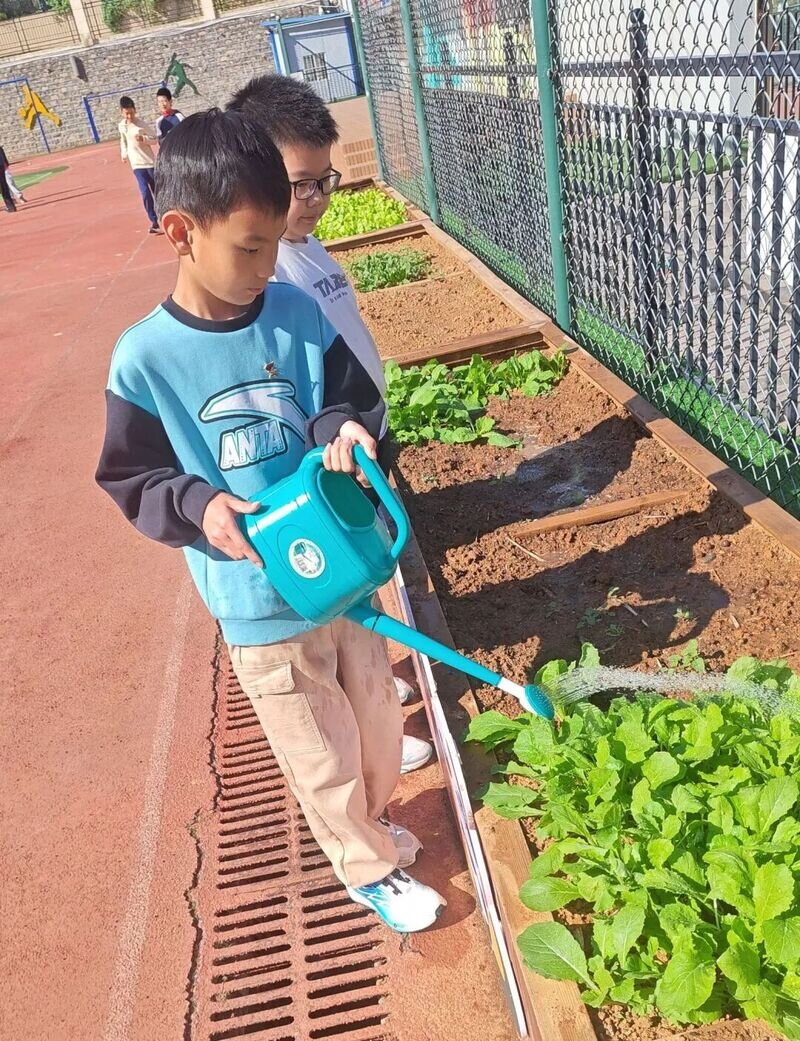 耕耘绿意,守护成长——济南高新区凤凰路小学“小凤宝生态科技农耕园”养护记