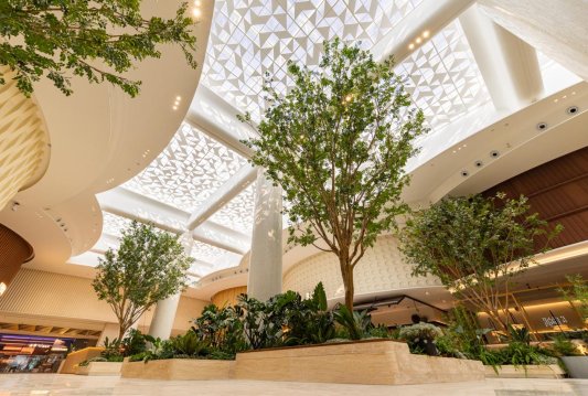 6ad53a5b84eb3292bbda9e11fb8667a6