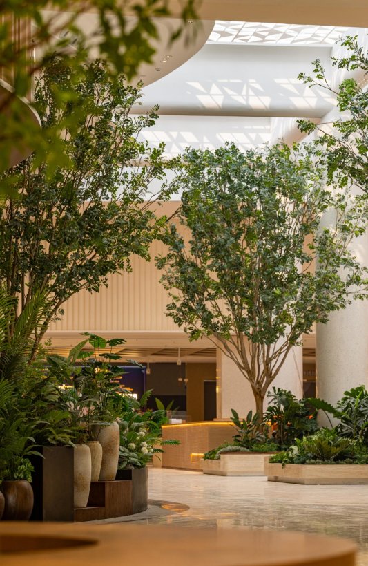 298d224410c3f0d72d30cfd8dff6e0ed