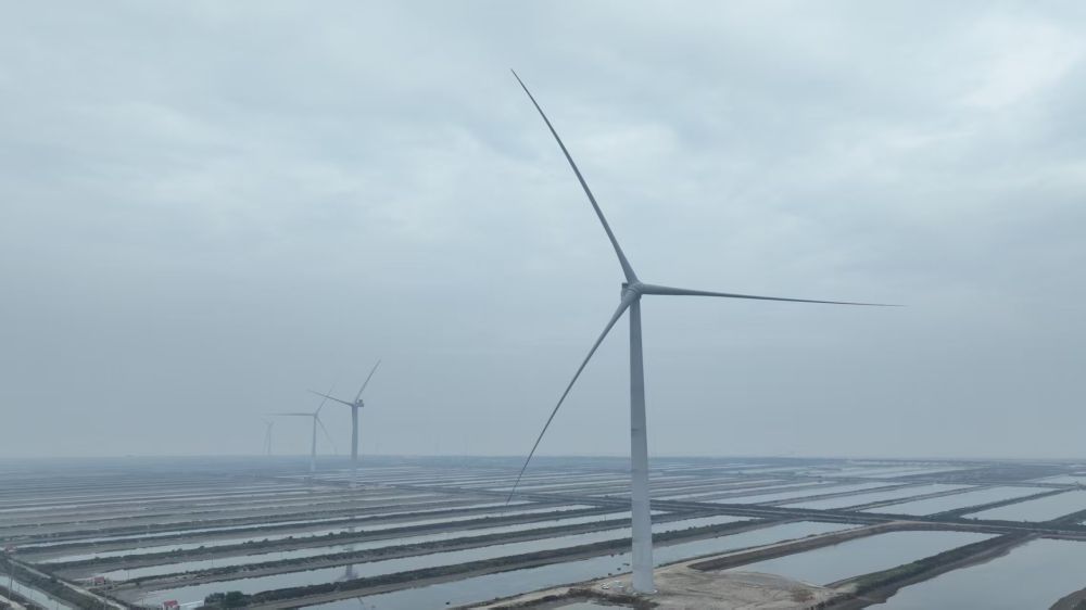 全球最大!26兆瓦级海上风电机组在山东并网发电