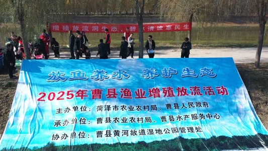 5d9889229e5931adfb62dfc5db97d0b0