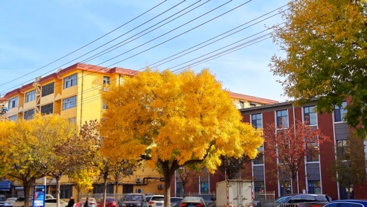 52440c9dbb481ef0d673e66db8f5d66