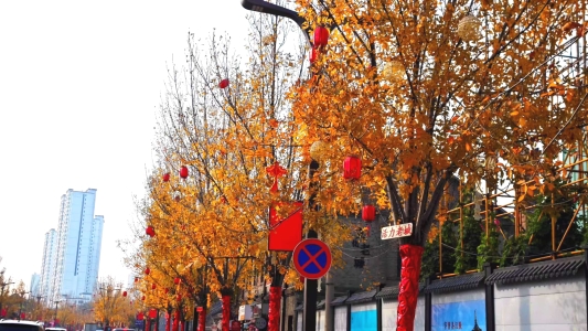 fb3e28031a2e0573ba2bb327fcce841