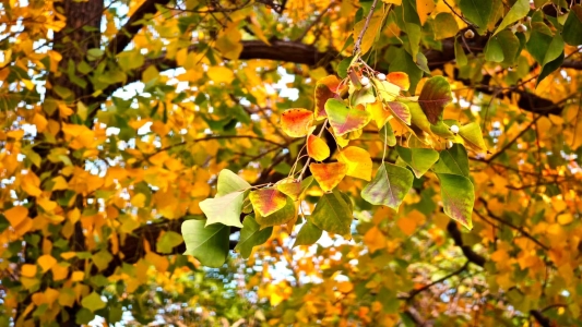 83062a349483d8e63d2d15e12d7cdf5