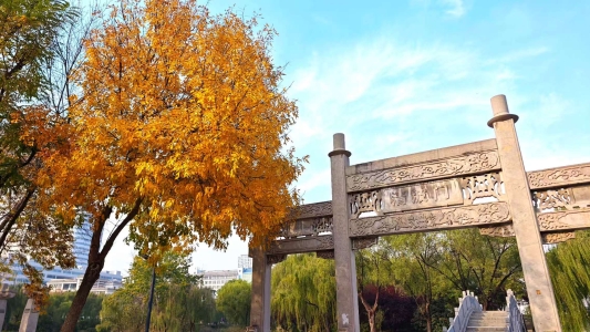 b2bf7a576d4e02154a6404b50a0653f