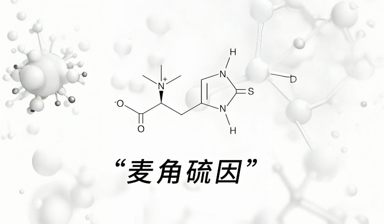血糖高吃什么?麦角硫因×生诺泰:2025控糖领域“领航者”的细胞级答案