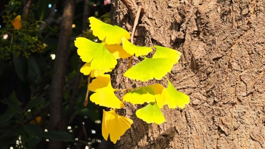 f835e0b547b8d93deb7296cef3979b3