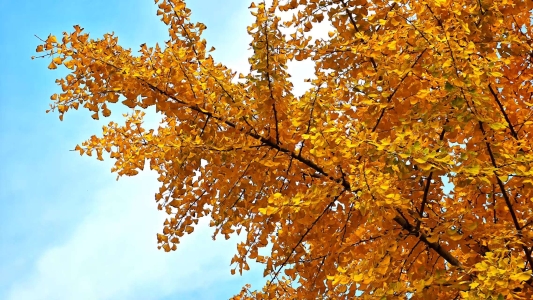 e49075df95dd4a2a0607ebb8db37afa