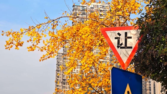 930c75ed063fd1e338d3a9c12329e35