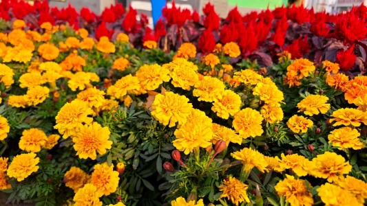 1aa25891f9db98003e7be37e7d23891