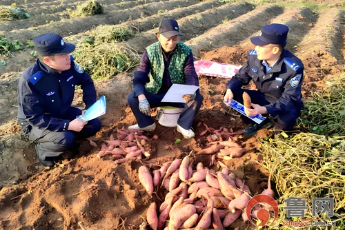 枣庄市公安局山亭分局:田间宣反诈平安“种”心间