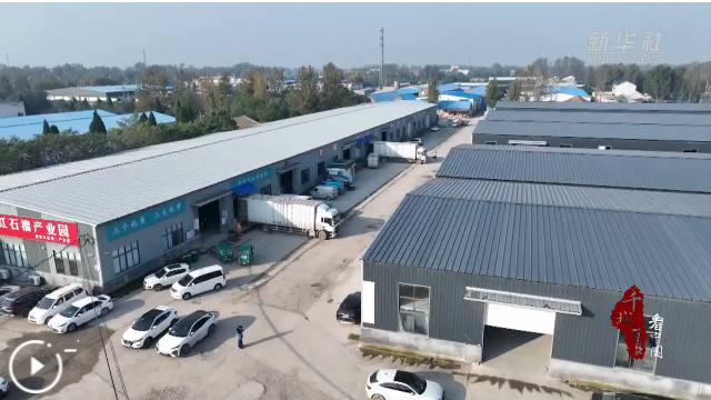 山东定陶:快递行业开足马力 智能化设备助力提速减负