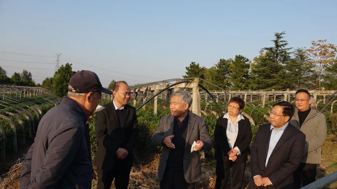 临沂市委统战部邀请济南大学徐会连博士一行来临沂考察