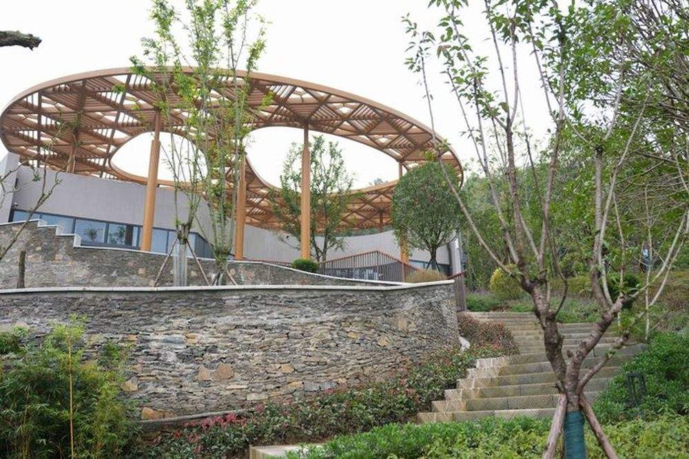 搬新“家”!我国再添一座大熊猫基地