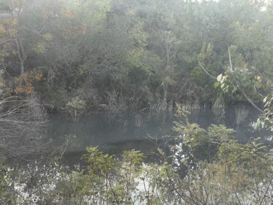 民生帮办|烟台栖霞松山养猪场山上挖坑排污,下游200户居民质疑用水安全