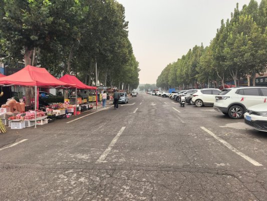 济南市莱芜区凤城街道向阳社区:守护烟火气 保持文明风