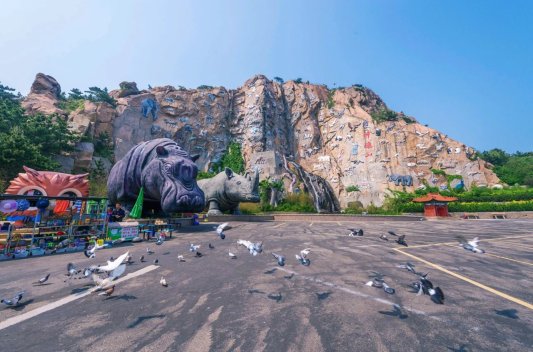 ef714adbbd152ea17ef8564179812269