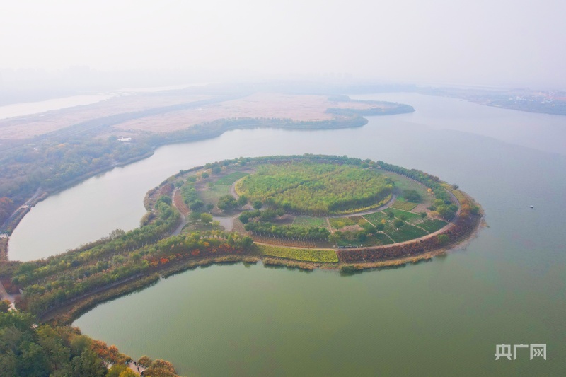 行进的海岸线|荒芜滩涂蝶变“幸福岸线” 绘就城海相融新篇
