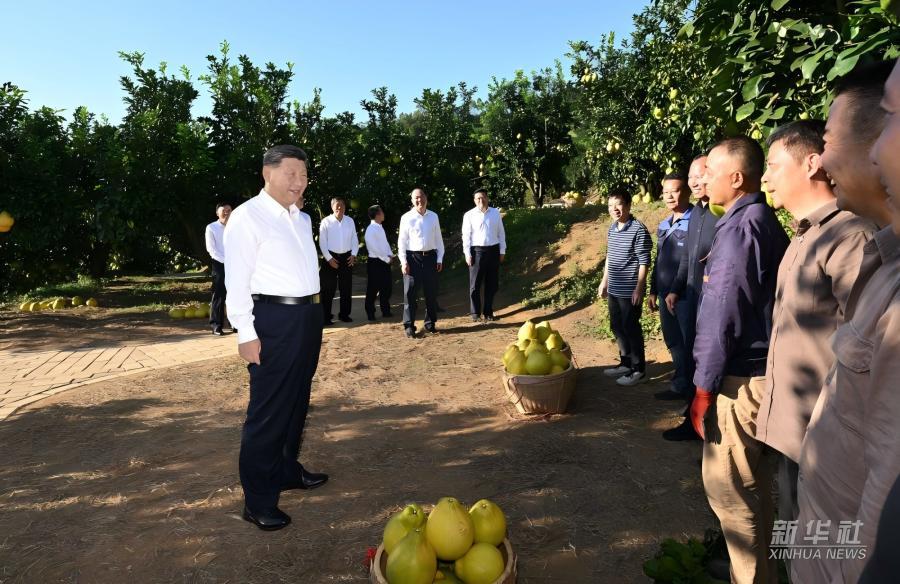 学习进行时|习近平总书记关心推动老区发展振兴的故事