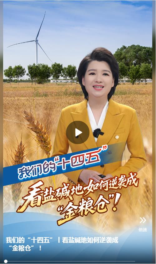 我们的“十四五”丨看盐碱地如何逆袭成 “金粮仓”!