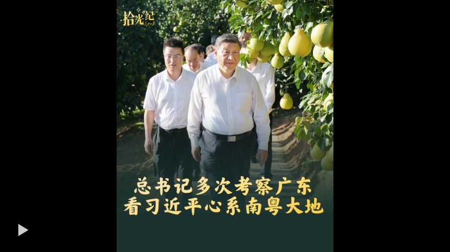 拾光纪·总书记多次考察广东,看习近平心系南粤大地