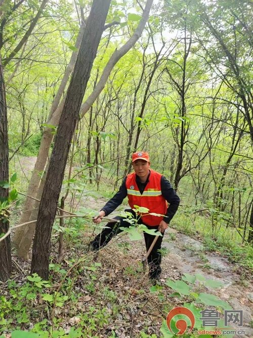 青山作证 林海情深——记枣庄市山亭区抱犊崮林场护林员王洪军