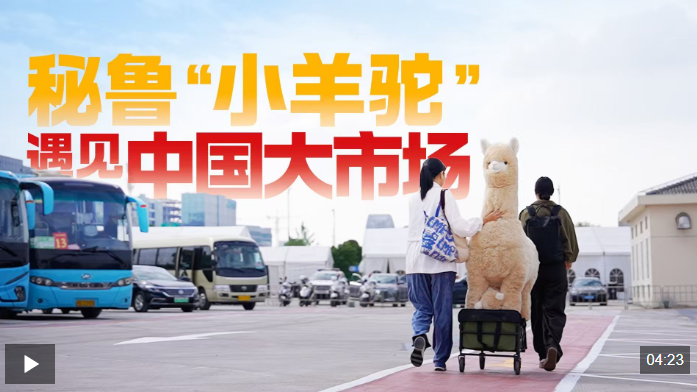 进博之约丨秘鲁“小羊驼”遇见中国大市场