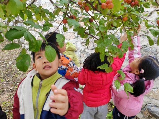 Cache_7460d85efe3b3ff8