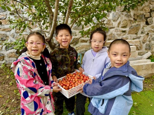 60B1CF59383B8089FFC9AE7E559984C9