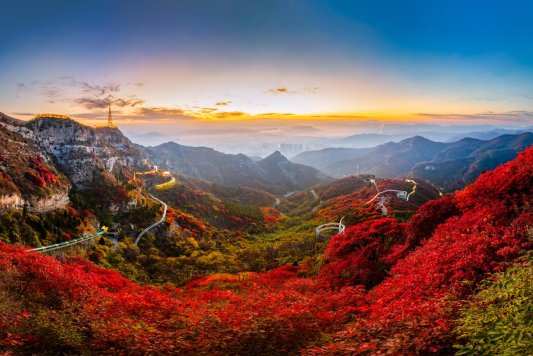 微信圖片_20251105145052