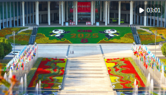 从“东方之约”到“世界机遇”:高水平开放的进博实践