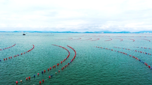 4b9c6cf94ec399d0015c2fa8cfa6fb2f