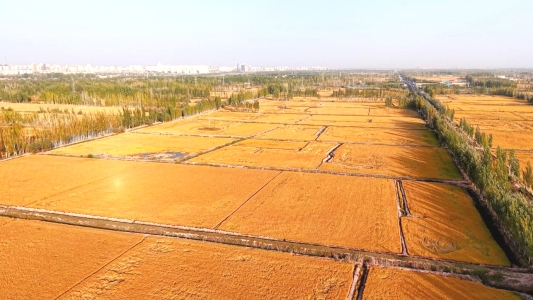 dd5ea6e305b153f1ba3ee1ab16aea9a8