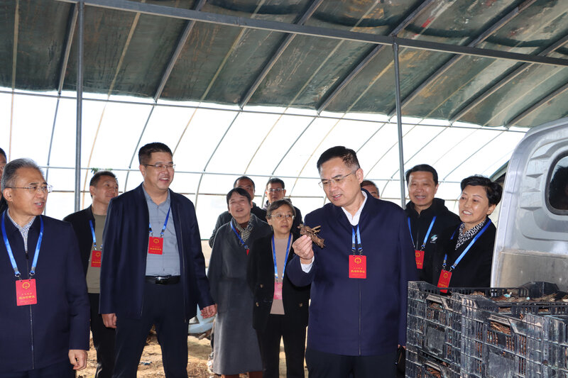 牡丹区人大常委会开展乡村振兴“一法一条例”执法检查