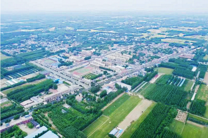 解码“小镇冠军”丨冠县店子镇:中国灵芝的半壁江山