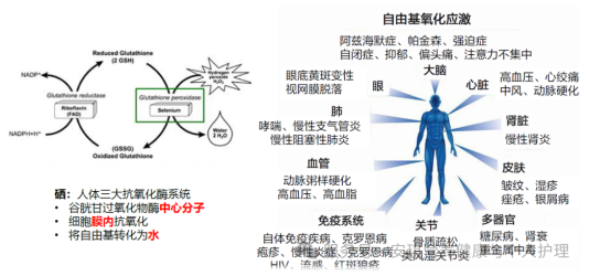 4bbd55d611c11c90c4df46c3de91dae3