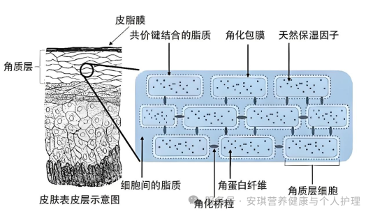 6a8099a990325e2a06cf2a679ab2be10