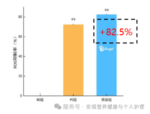 e07b133e7079a6e3f3b2e1fda66129aa