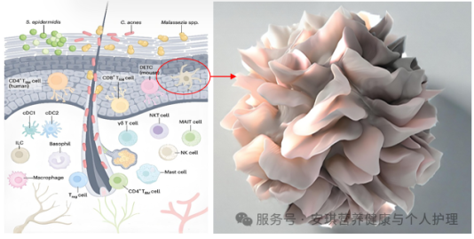 fa39abf321ae2c7801c2143fba1902b7