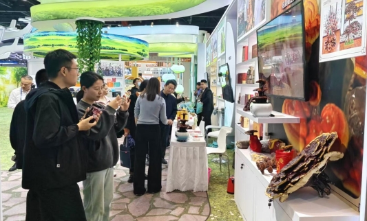 聊城市特色劳务品牌再登国家级展台