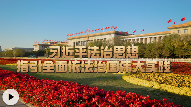 时习之丨习近平法治思想指引全面依法治国伟大实践