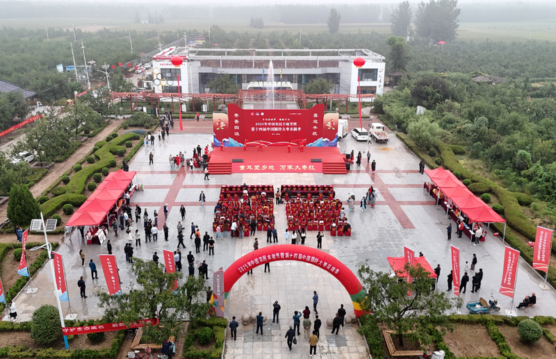 粮满仓·好丰光|千年枣乡焕新韵:从传统种植到农文旅融合的茌平实践