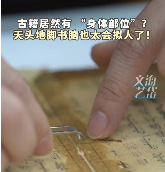 盛世修文|古籍居然有“身体部位”? 天头地脚书脑也太会拟人了!