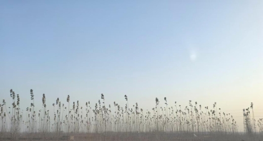 2b2e7265a46120c9f6d8b78735ce322