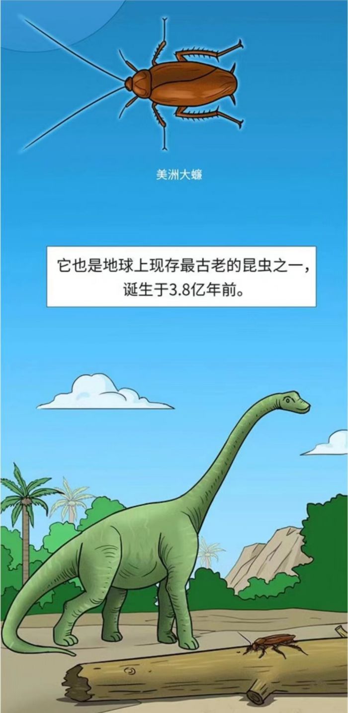 “药用蟑螂”指的原来是它!揭秘网红基地背后的修复密码