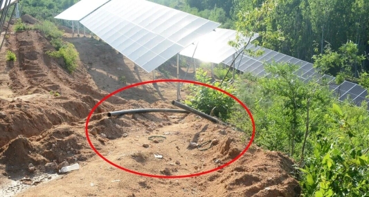 一顿小酒后双双被抓,他们做了啥?