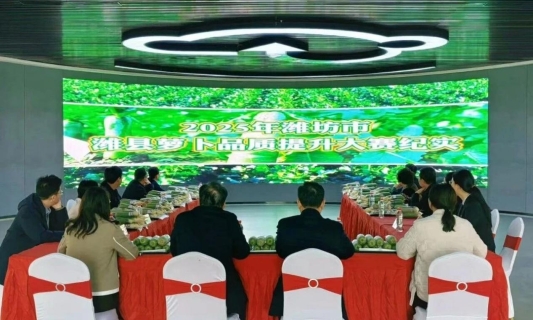 b89a5ed4e3c505b586c7e67aceeb1cce