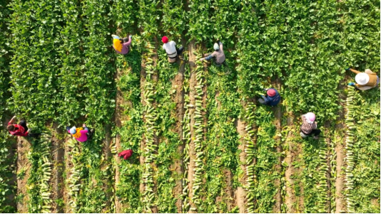 64701e61c8174874893291181d51d380