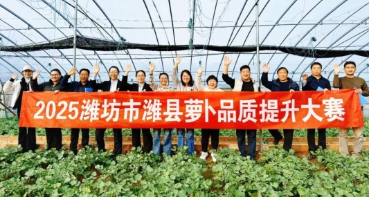 8c0a7f88a78ed7cf9b015d3bfb4d7c1b